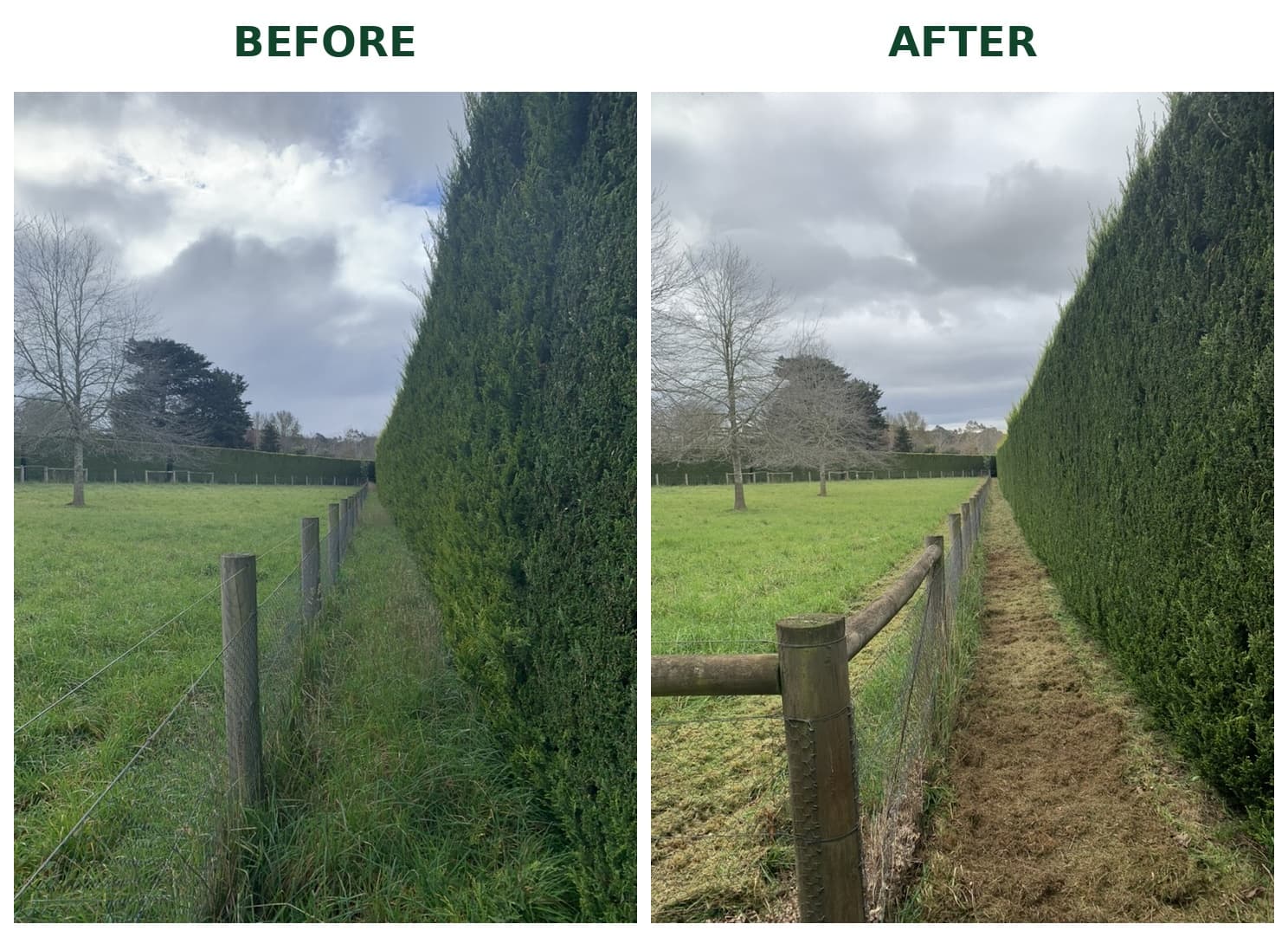 Before and after comparison of vegetation management in a narrow hedge and fence-line corridor